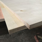 Birch Faced Furniture Decoration Commercial Grade Plywood 12% Moisture